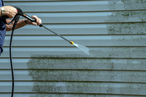 Spring Cleaning in Scotts Valley, CA
