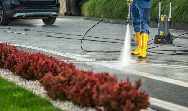 Best Soft Washing  in Scotts Valley, CA